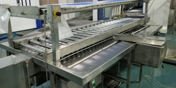 Food Plant Sanitation