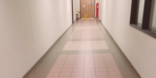 Deep/Steam Cleaning