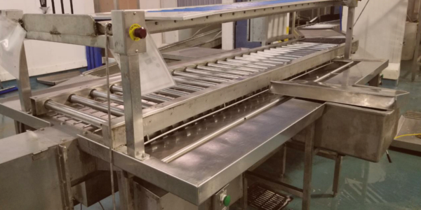 Food Plant Sanitation
